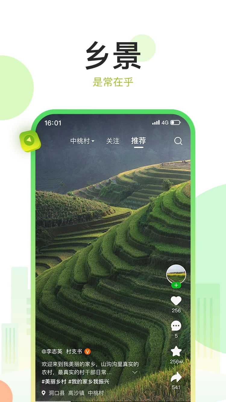 村知了截图