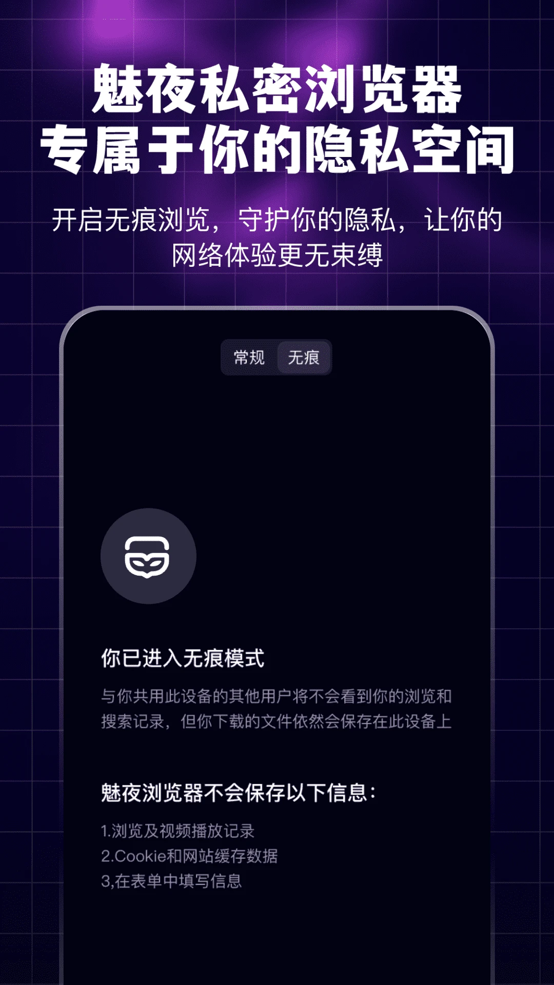 魅夜私密浏览器截图