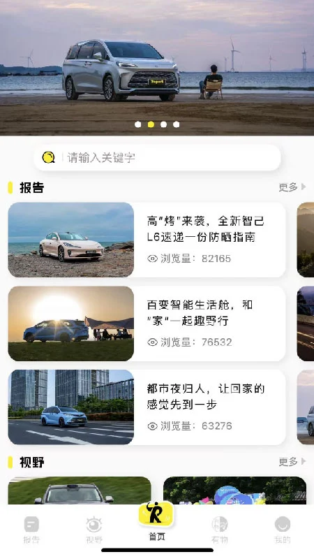 Report截图