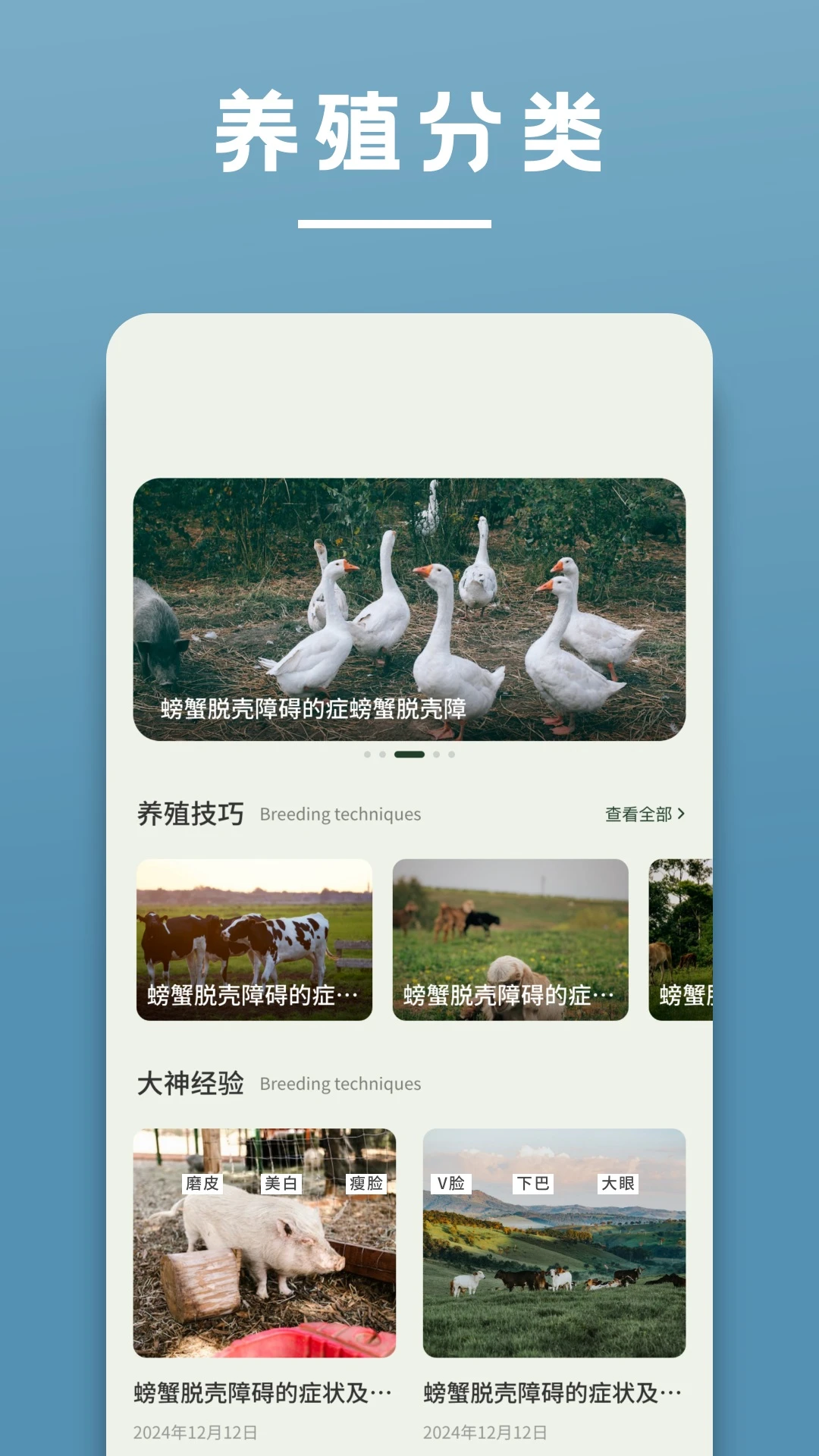 阳光养猪场截图
