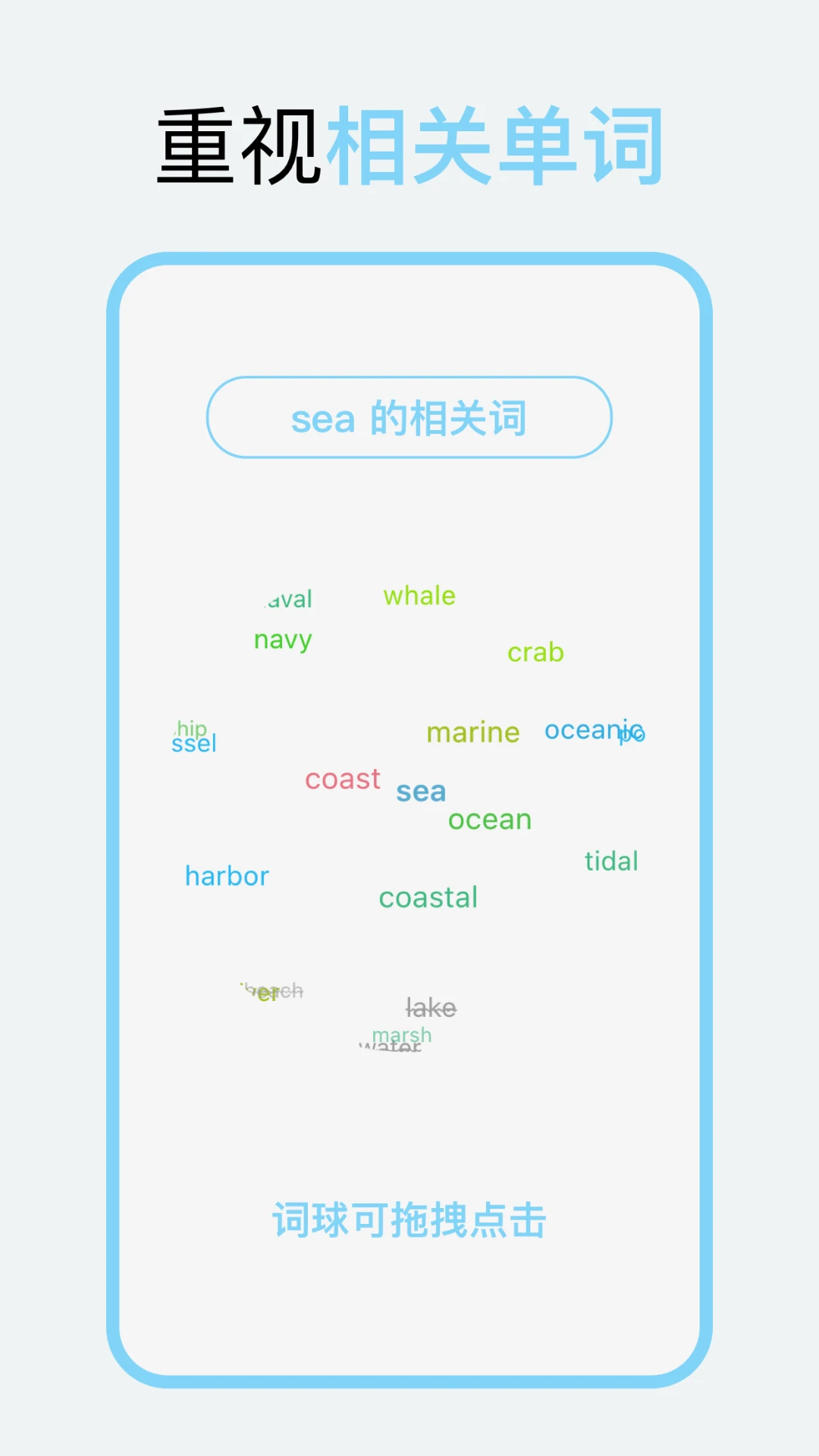 向量单词截图