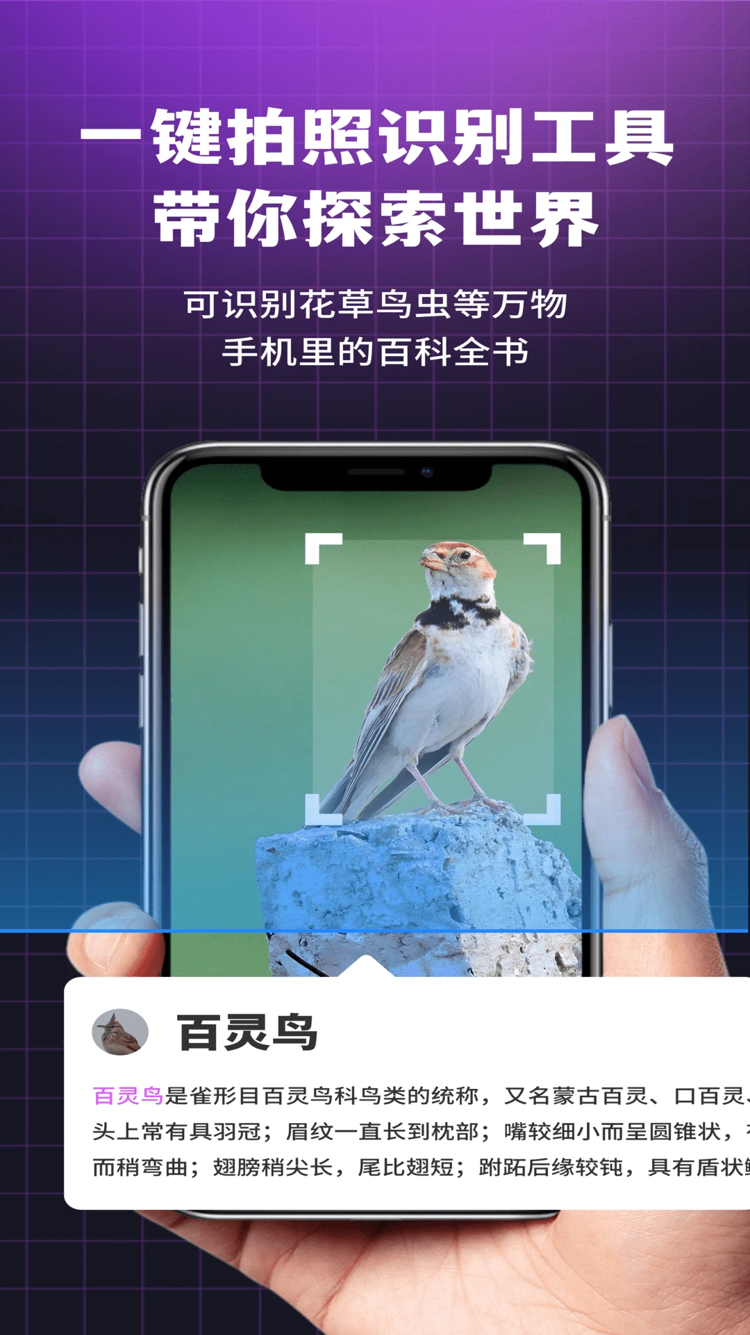 i浏览器无痕版截图