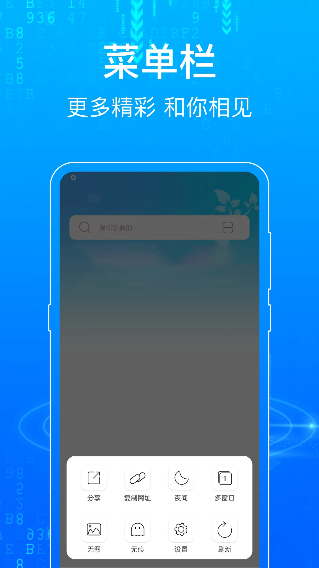 浏览器Surfing截图