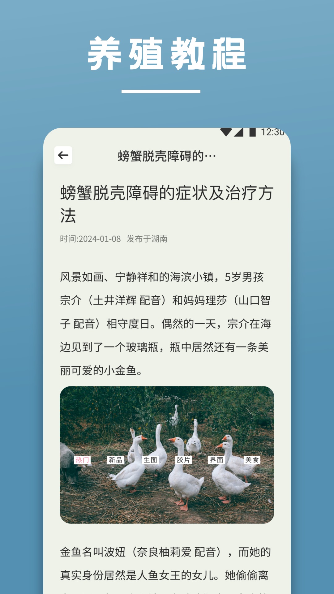 阳光养猪场截图