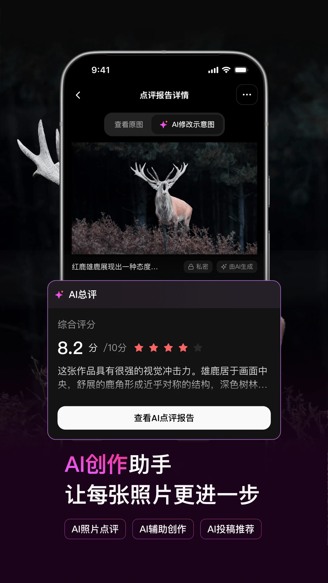 500px中国版截图