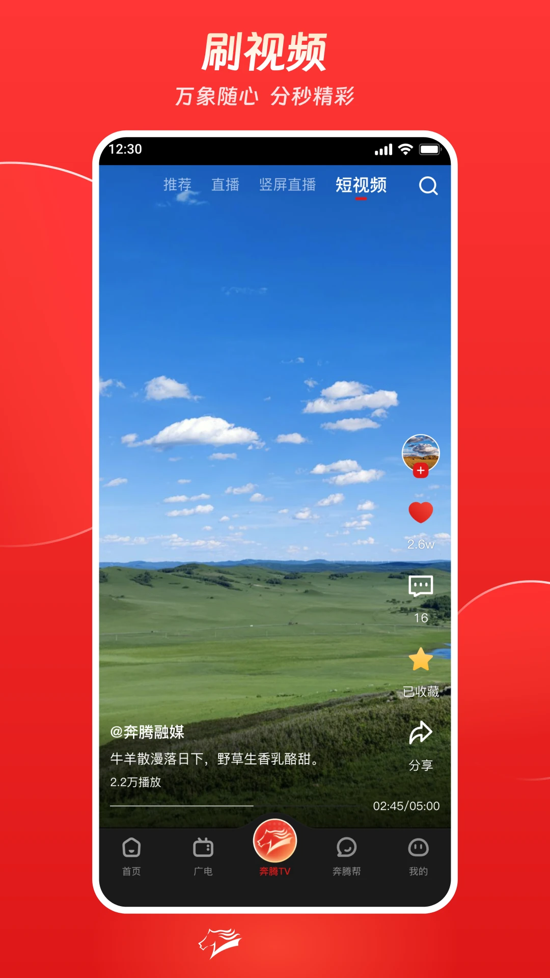 奔腾融媒截图