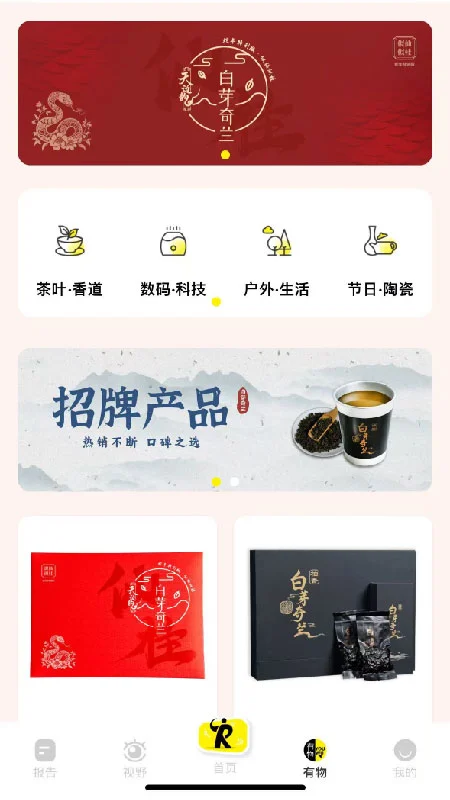 Report截图