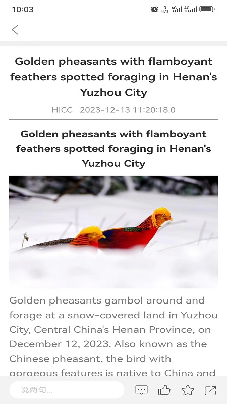 iHenan截图