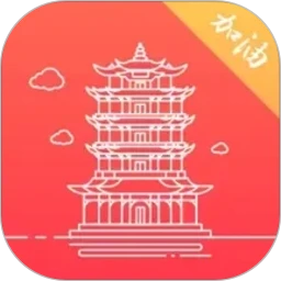 数字武汉