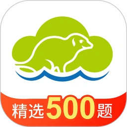 海猫学车