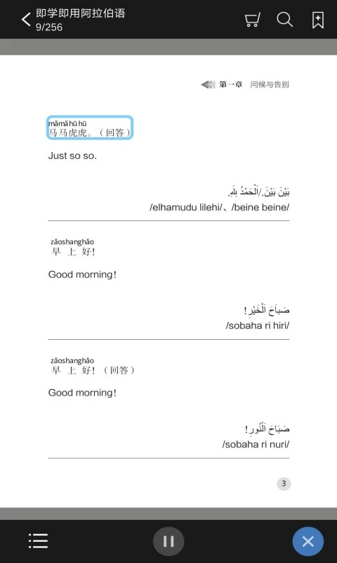 即学即用阿拉伯语截图