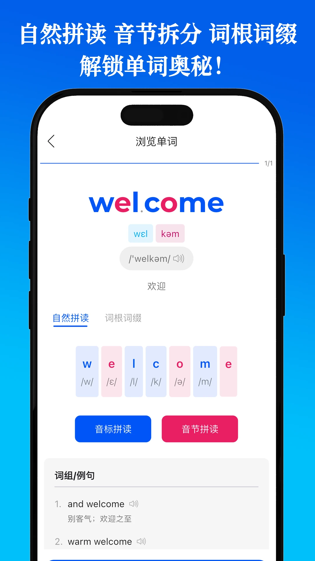 鹦鹉单词截图