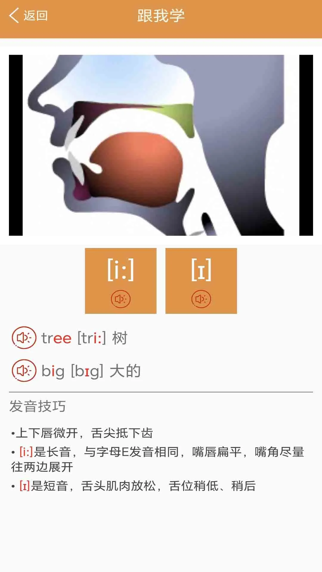 大猫英语国际音标截图