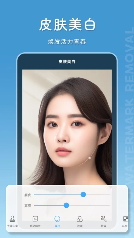 马赛克去除大师截图
