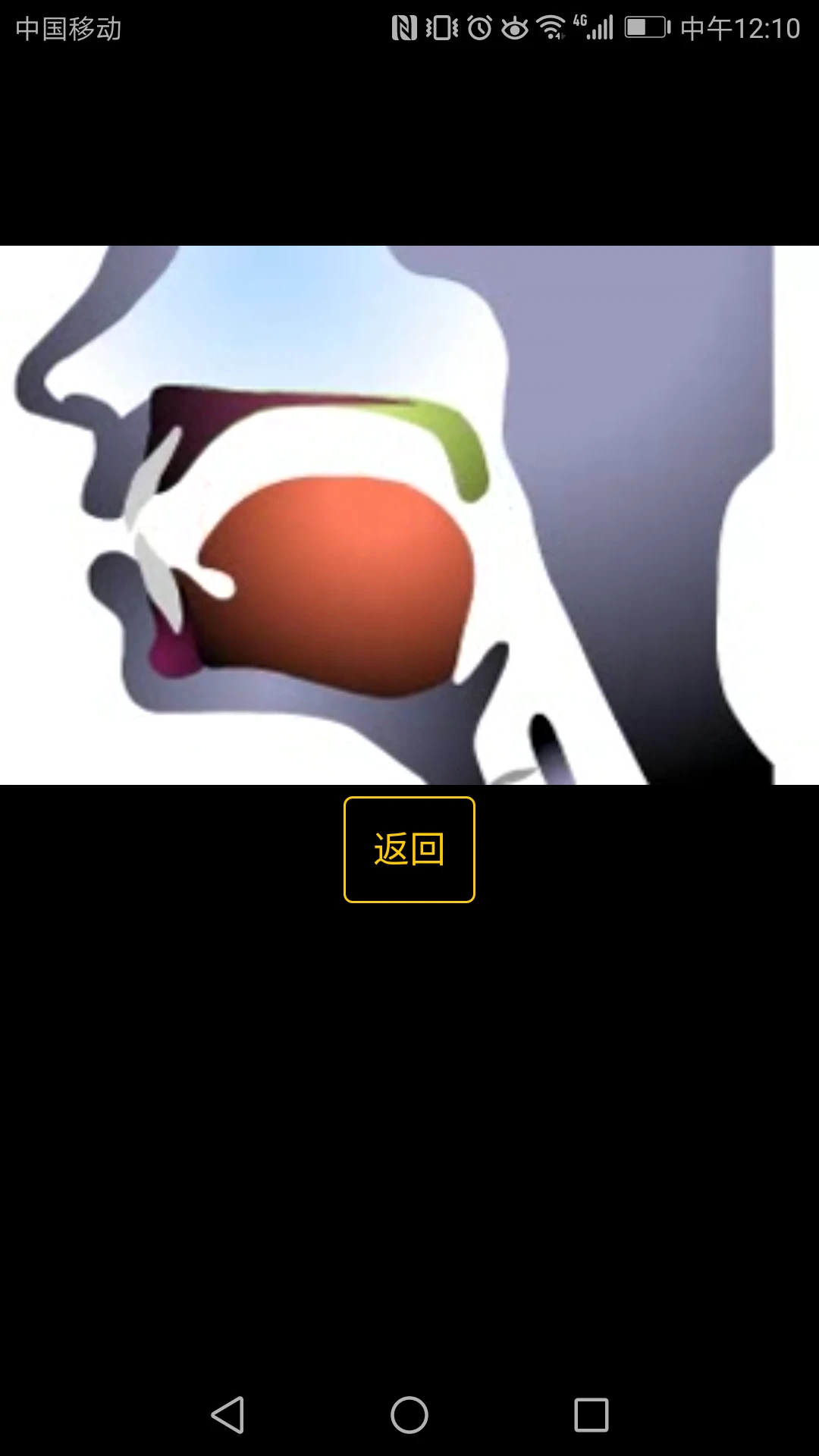英语国际音标学习截图