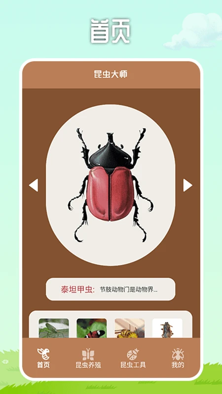 虫虫帮手截图