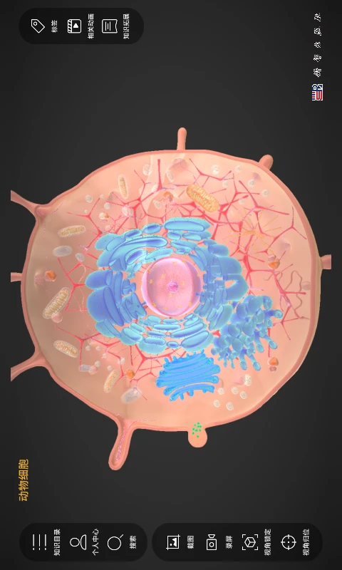 细胞生物学3D资源库系统截图