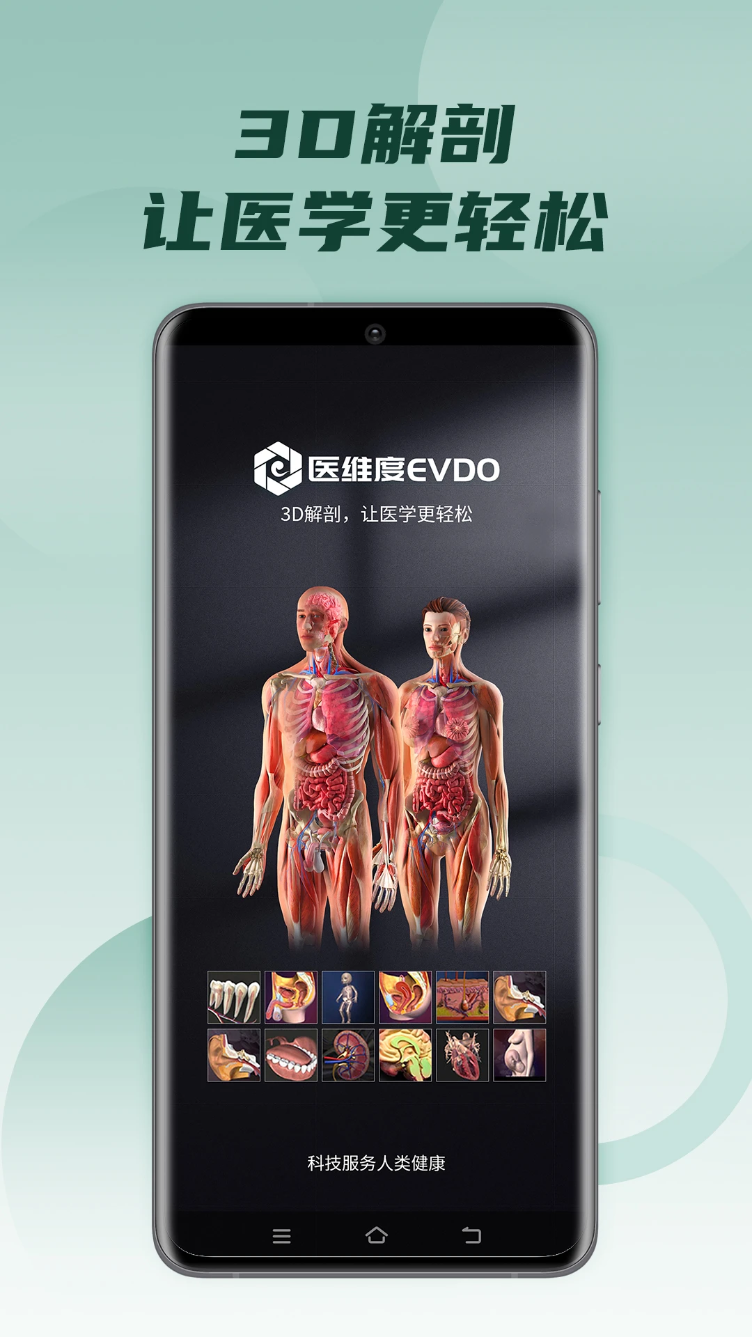 医维度解剖截图