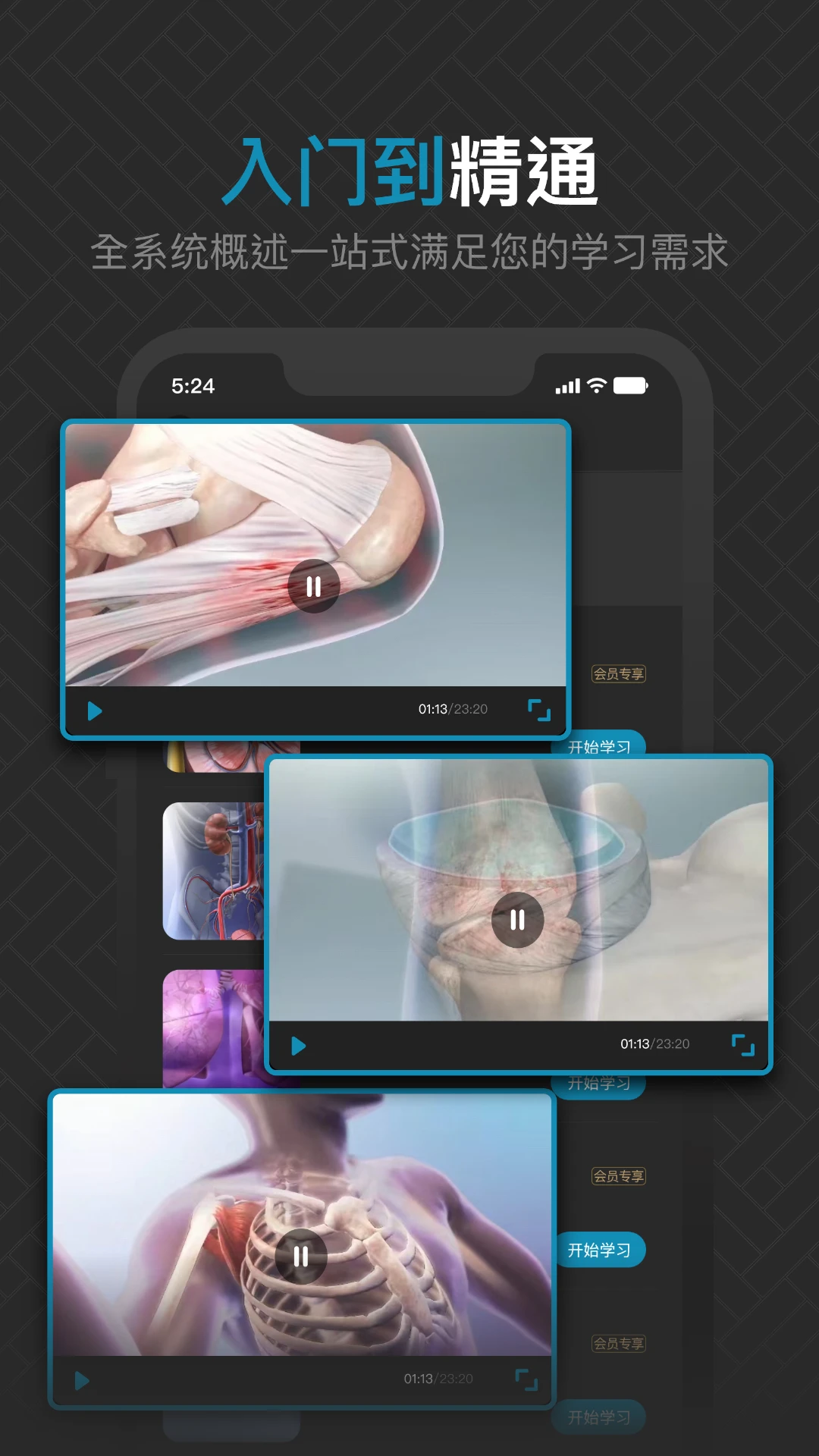 3D肌肉解剖截图