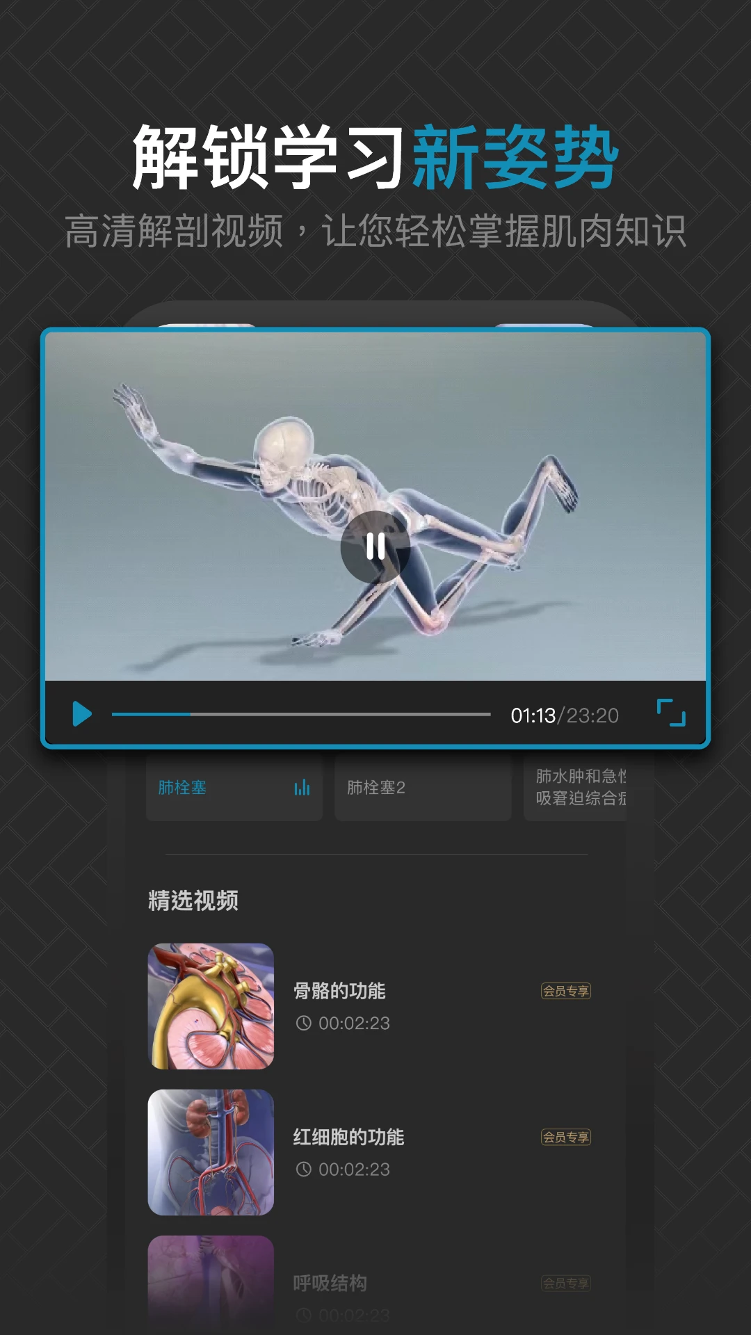 3D肌肉解剖截图